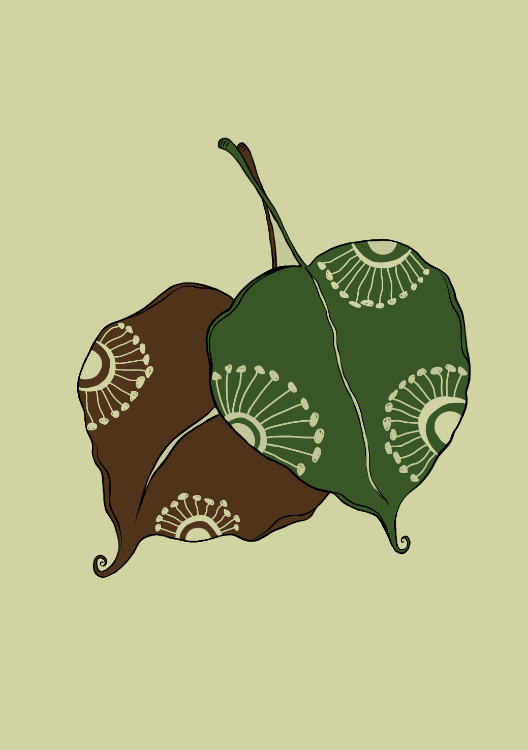 PATTO KA JISM (Saree) – A Dance of Decay and Renewal 🍃